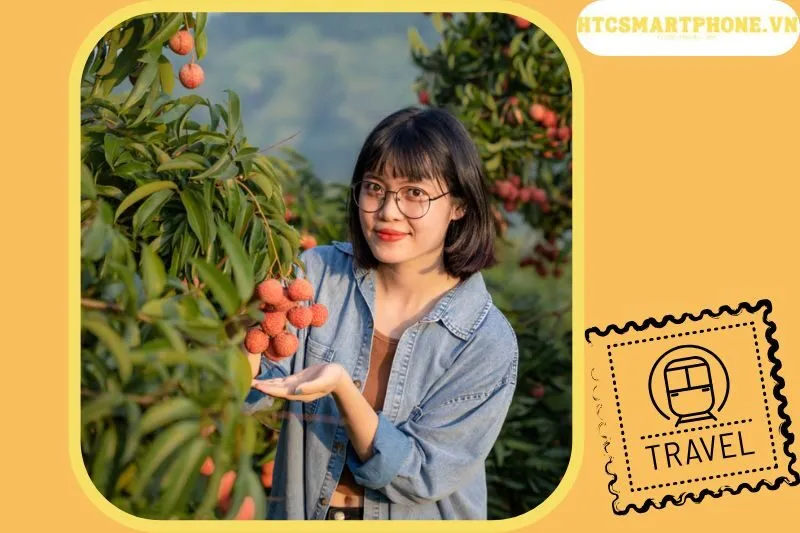 Vải thiều lục ngạn