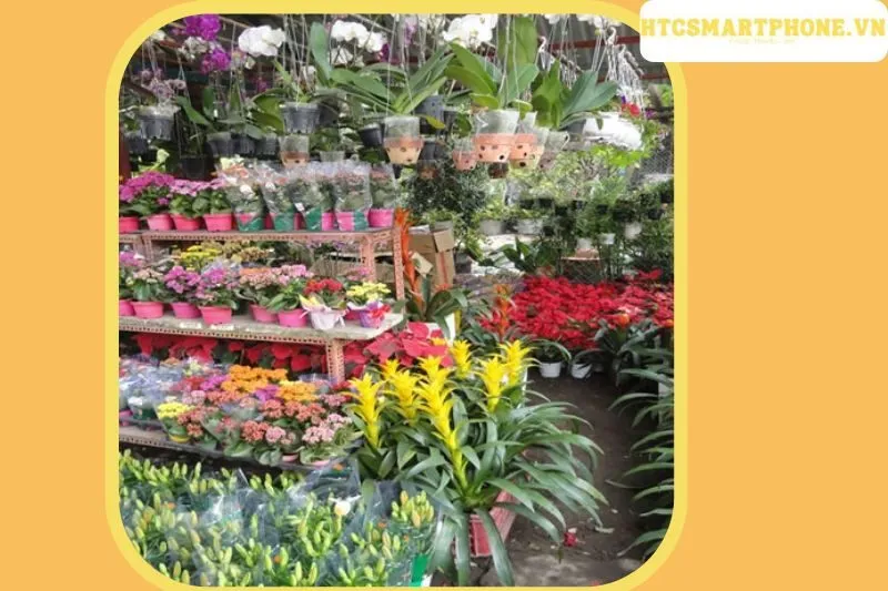 Cửa Hàng Cây Cảnh Phương Nam