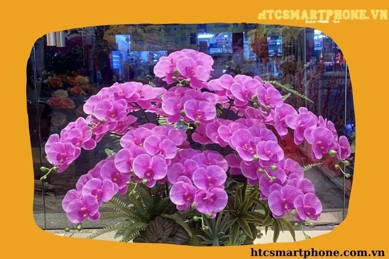 Gia Nhi - Hoa Lụa Cao Cấp
