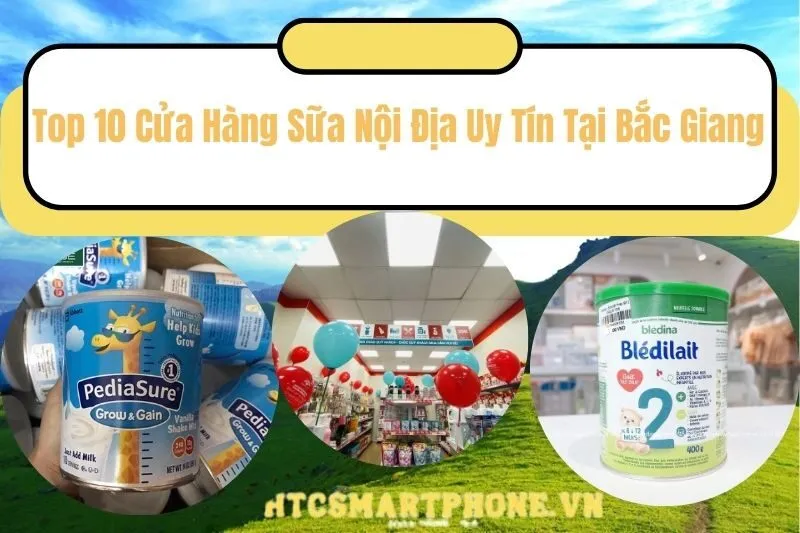 Top 10 Cửa Hàng Sữa Nội Địa Uy Tín Tại Bắc Giang