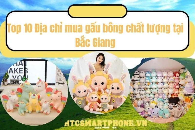 Top 10 Địa chỉ mua gấu bông chất lượng tại Bắc Giang