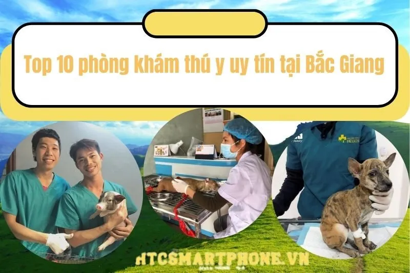 Top 10 phòng khám thú y uy tín tại Bắc Giang