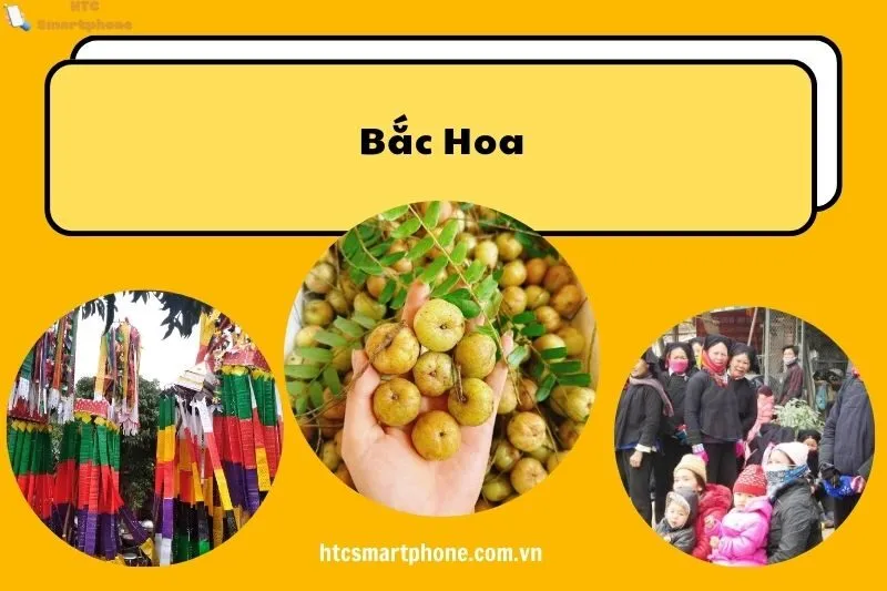 Bắc Hoa