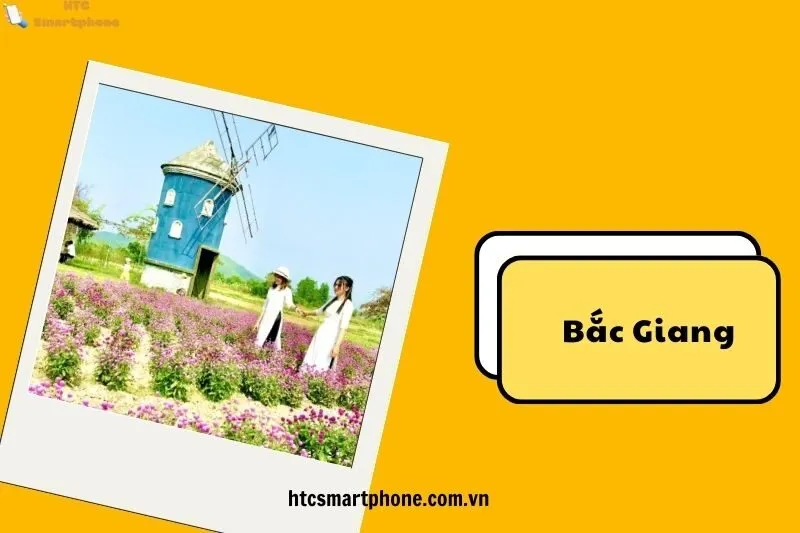 Giá vé và dịch vụ tại Vườn Hoa Đa Mai – Phim trường Rose Garden