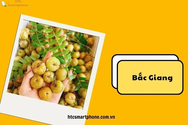 Những Đặc Sản Nông Sản Và Mùa Quả Ngọt Tại Bắc Hoa