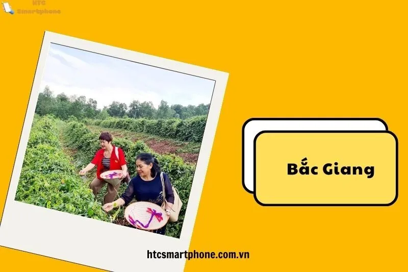 Trải nghiệm thiên nhiên và không khí trong lành tại Núi Dành