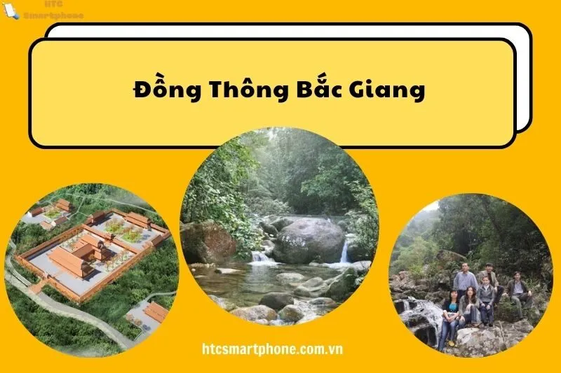 Đồng Thông Bắc Giang
