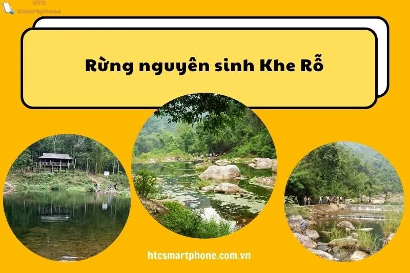 Rừng nguyên sinh Khe Rỗ